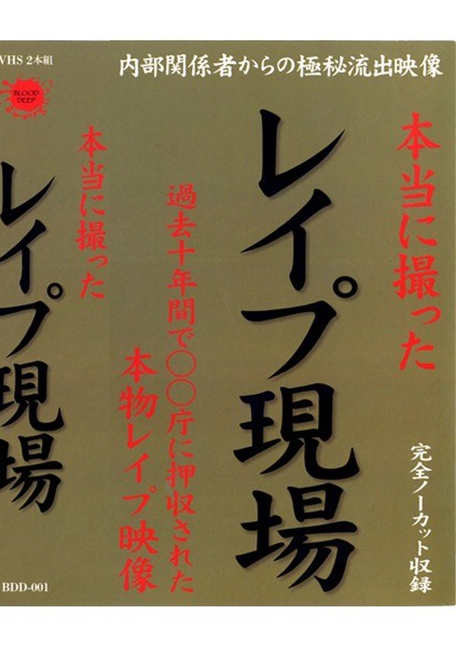 [BDD-01] Actually filmed R*pe scenes: Real R*pe footage seized by authorities over the past ten years - featuring Nakamori Reiko, Koide Haruka - from ---- cover image